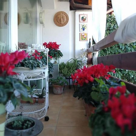 Casa Di Amici Bed & Breakfast Campagnano Di Roma Ngoại thất bức ảnh